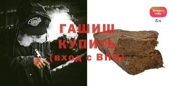 стаф Алзамай