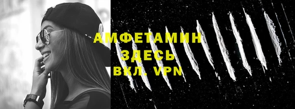 стаф Алзамай