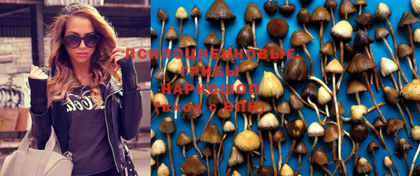 кристаллы Алексеевка