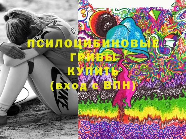 стаф Алзамай